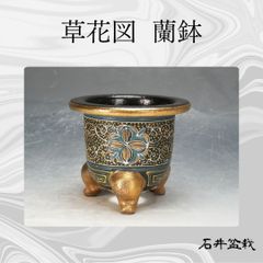 富貴蘭鉢 3点セット 豆鉢 小鉢 植木鉢 陶器 - メルカリ