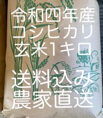 令和4年産　100%栃木県産　コシヒカリ　玄米1キロ