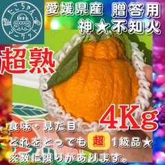 予約販売【★完熟した証★贈答用にもピッタリ】葉付きの不知火　4kg　木成り完熟デコポン