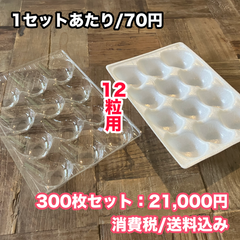 【いちご専用クッション材：12粒用】イチゴ用　ホールベリークッション&ホールトレーESベリー セット12穴 (167×237mm) 『300枚』いちご用/トレイ