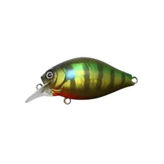 2025年最新】チーラ 一誠の人気アイテム - メルカリ