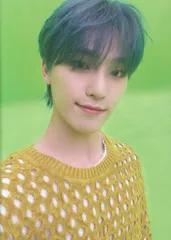 SEVENTEEN あいのちから DINO トレーディングカード クリスマス