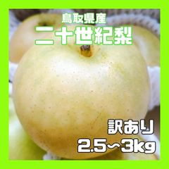 【鳥取県産】二十世紀梨 訳あり 8~10玉 3kg前後 糖度 11〜12度