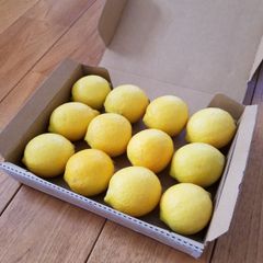 ☆せとだレモン☆　コンパクト箱12個　広島県瀬戸田産　農家直送