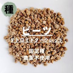 【種】ビーツ　デトロイトダークレッド　農薬不使用　50粒