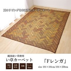 Fレンガ い草 い草ラグ カーペット 国産 日本製 ふっくら ボリュームラグ 和室 リビング お手入れ簡単 夏 抗菌防臭 調湿 消臭 空気清浄 汚れにくい
