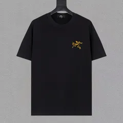 【今日特価】Arcteryx アークテリクス 25ss プレミアムプリント T シャツ