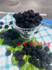不揃い 瀬戸内ブランド桑の実ジャム用１kg
