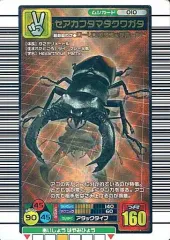 2026年最新】ムシキング銅レアの人気アイテム - メルカリ