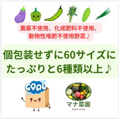 訳ありお野菜セット🥗数量限定♪マナ菜園。農薬、肥料不使用♪( ´▽｀)お野菜詰め合わせ🎵