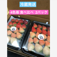 いちご  苺  4色  食べ比べ  2パック  クール便