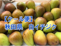 【クール便】白イチジク　800g