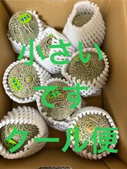 タカミメロン  小さいサイズ 8個入 箱込4.1キロ程度 茨城県産