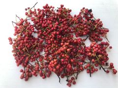小枝付き山椒の赤い実（100g）送料込
