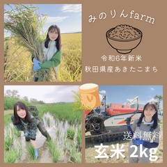 令和6年あきたこまち玄米2kg