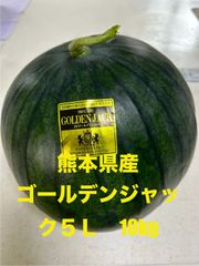 【産地直送・希少スイカ】熊本県産大玉黒すいか　ゴールデンジャック５Ｌ　黄色すいか種なしすいか　正規品　秀品　贈答用