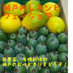 因島産フェイジョア+レモン（無農薬)