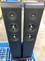 【メルカワ様限定】audiopro AVANTO FS-20（ペア） Audio Pro - AVANTO FS-20/ウォールナット（ペア）｛大型ROK