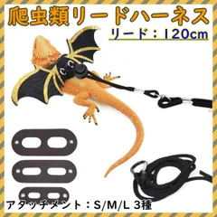 2025年最新】カメレオンリーダー ペンの人気アイテム - メルカリ