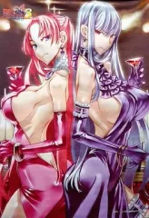 【中古】タペストリー [単品]セルベリア＆ユリアナ 描き下しB2タペストリー 「PSPソフト 戦場のヴァルキュリア3 WonderGOO限定セット」同梱特典