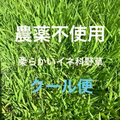 2025年最新】メヒシバの人気アイテム - メルカリ