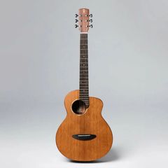 aNueNue aNN-M60E BirdGuitar エレクトッリックアコースティックギター〈アヌエヌエ〉
