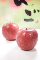 青森県産りんご「サンふじ」贈答用 約5kg【光センサ選果済】