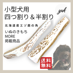 【クーポン発行中】🐶小型犬用🐶四つ割り＆半割り✅2本セット🦌北海道産エゾ鹿の角🦌犬のおもちゃ🐕鹿の骨　B