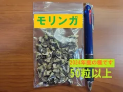 2025年最新】モリンガの種の人気アイテム - メルカリ