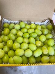 ror様専用！粒だけたっぷり500g❗️訳あり大特価❗️朝獲れ❗️送料無料❗️岡山県産　シャインマスカット　粒売り　葡萄