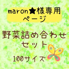 maron★お値下げのコメントOK❗様専用ページ❣️野菜詰め合わせセット100