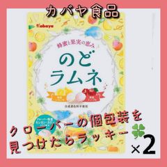 【送料込】カバヤ食品 のど ラムネ 58ｇ 2袋