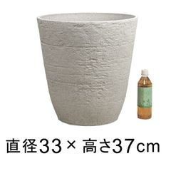 テラコッタ ホワイト 素焼き 植木鉢 大型 ロベリア購入品 - メルカリ