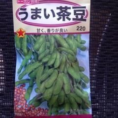 未開封＜野菜の種＞エダマメ　うまい茶豆　　25ｍｌ　枝豆
