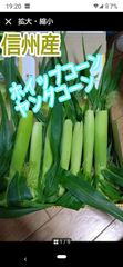 専用です