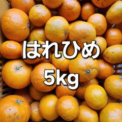 訳あり はれひめ5kgのサムネイル