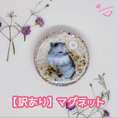 【訳あり】【現品限り】【おまけ付き】レジンマグネット 写真入り ハンドメイド ハムスターといっしょ すみちゃん❤️バージョン