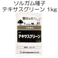 ソルガム種子　品種名：テキサスグリーン　1kg　雪印種苗