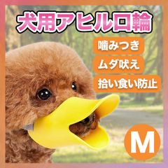 Item thumbnail for item 68370c7c-dd7a-456c-90a8-caa91d596eff