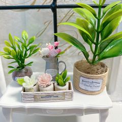 #463 ミニチュア インテリア ＊観葉植物③