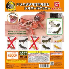 2025年最新】レオパード ゲッコー 販売の人気アイテム - メルカリ 