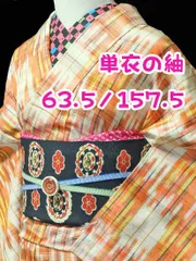 正絹　単衣の紬　★★★　【B/R】　(63.5/157.5/47)　変わり格子　中古 《ふだんきもの杏》 11192