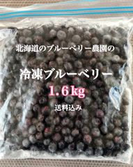 北海道ブルーベリーランドの冷凍ブルーベリー　1.6kg送料込み