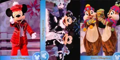 ux31 ディズニー コレクション カード まとめ 【 Christmas Wishes 2010 
クリスマス・ウィッシュ  2010 】 パレード 東京 ディズニーリゾート DISNEY ミッキー