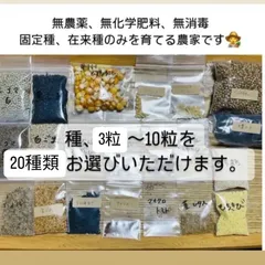 無農薬　無化学肥料　無消毒　種子　種　ハーブ　野菜