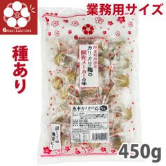 熱中カリカリ梅 業務用サイズ 450g 赤城フーズ 熱中対策 塩分多め スッパしょっぱいカリカリ梅