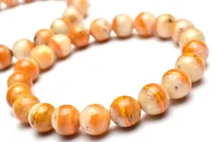 2025年最新】バンブルビージャスパーの人気アイテム - メルカリ