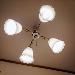 3vms6PjNtLsHRsWqwrbbre.jpg@jpg