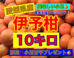 伊予柑S玉　10キロ  小玉甘平プレゼント