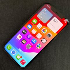 SIMロック解除済 iPhone 12 Pro 256GB パシフィックブルー MGMD3J/A
